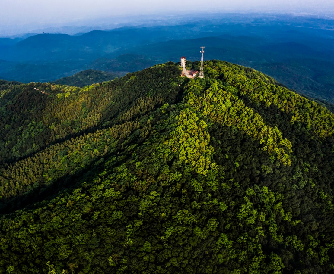 国储林建设项目