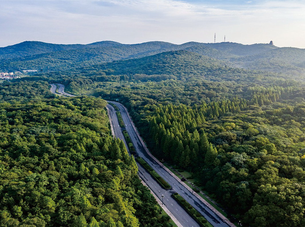 国储林建设项目