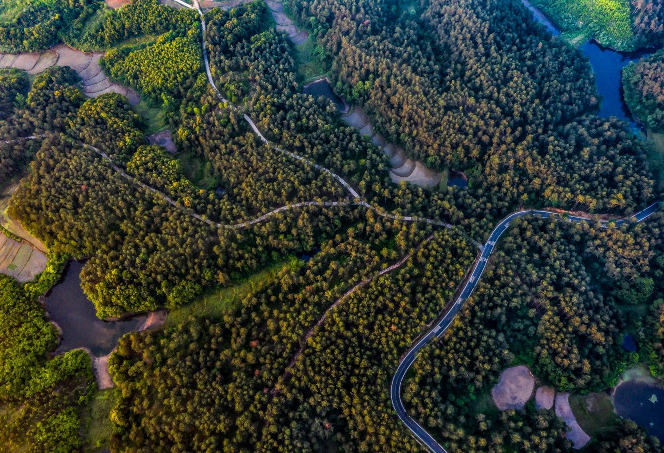 国储林建设项目